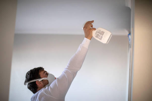 Best Mold Testing  in Emeryville, CA